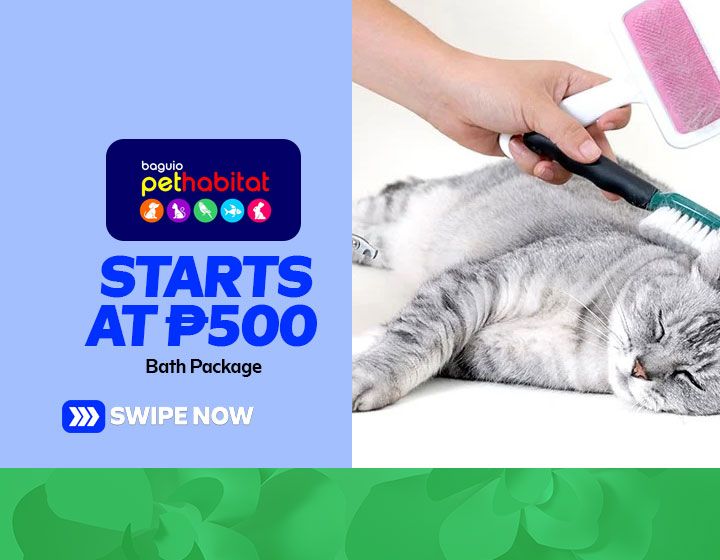 Bath Package starts at P500