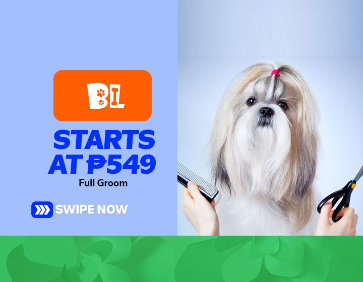 Full Groom starts at P549
